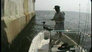 Worlds Greatest Rockfishing Video [upl. by Jarlath]