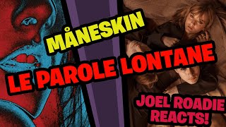 Måneskin  Le parole lontane Official Video  Roadie Reaction [upl. by Sabine]