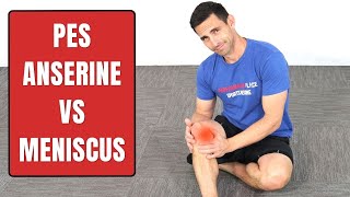 Pes Anserine Bursitis Vs Medial Meniscus Injury [upl. by Durst]