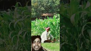 King konara snake prank comedy funny [upl. by Rebme]