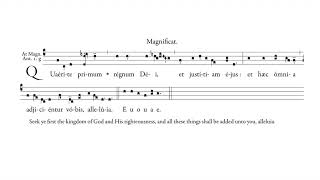 Magnificat Antiphon quotQuaerite primumquot for Vespers 14th Sunday after Pentecost [upl. by Laurita]