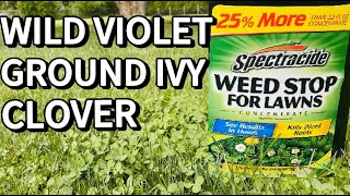 Spectracide Weed Stop for Lawns  Weed Killer Ground Ivy Wild Violet Clover [upl. by Anaeerb]