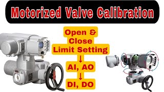 Rotork Motorized valve Calibration  Rotork MOV [upl. by Anaihk]