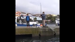 Flathead grey mullet fishing  Pesca Tainha  Mugil cephalus  فسيخ بوري فلاتهيد البوري الرمادي [upl. by Alleusnoc]