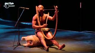 Chants et danses des pygmées Aka du Congo au musée du quai Branly ARTE Concert2 [upl. by Clarence]