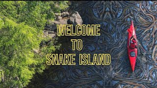 Snake Island Brazil A Deadly Destination Like No Other  Ilha de Queimada Grande [upl. by Idisahc]