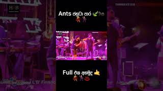 වස්තිලාට Ants දුන්නු ජහුටාපාර 🕺🍃🐜 Shorts [upl. by Ahsikit]