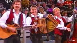 Low quality Trio Melody  Mein Heimatland Tirol Heimatmelodie 1992 [upl. by Lonyer]