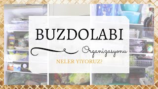 Buzdolabı Organizasyonu  Neler Yiyoruz [upl. by Mauer]