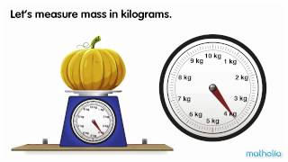 Using a Scale  Kilograms [upl. by Bergwall718]