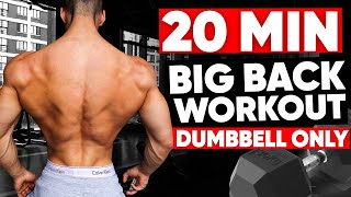 20 MINUTE BACK WORKOUT DUMBBELLS ONLY [upl. by Bedelia]