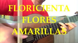 Floricienta Flores Amarillas cover guitarra sola fingertyle [upl. by Mosby379]