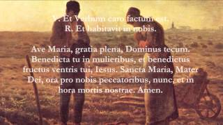 Catholic Prayers  Angelus Latin [upl. by Euphemie]