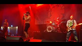 8 november 2024  Californicated Red Hot Chili Peppers tribute  Tribfest Trax Roeselare BE [upl. by Eigram611]