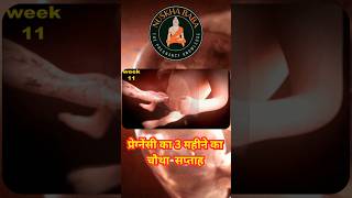 प्रेग्नेंसी का तीसरा 3rd महीने का चौथा सप्ताह 4th week  12th week of pregnancy shorts Ytshorts [upl. by Meredeth]