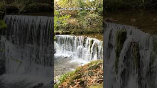 Part 1 Lake District Stock Ghyll Force Waterfall travelvlog trendingshorts waterfall [upl. by Gwyn]