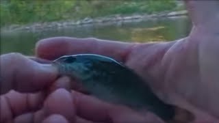 Fishing Otter Creek Middlebury Vermont The Last Few Cast [upl. by Nnahteb]