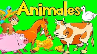 Sonidos de Animales para bebés  Videos para Nños  Mi Jardín Preescolar [upl. by Euqimod]