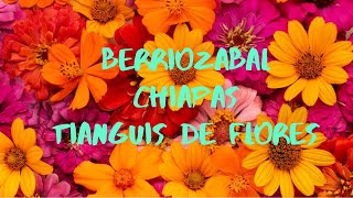 BERRIOZABAL CHIAPAS LAS FLORES MAS BELLAS EN UN TIANGUIS [upl. by Eimaraj]