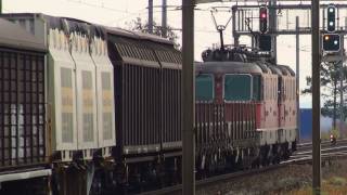 SBB Re 88 Re 44 SBB RBe 540 NPZ mit BDt EW II alt RBe 44 [upl. by Gine]