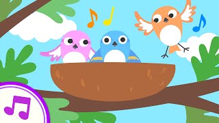 Hello Little Baby Sparrows  Original Kids Song from Treetop Family [upl. by Eneryt]