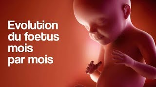 GROSSESSE  L’évolution du foetus mois par mois [upl. by Salohci244]