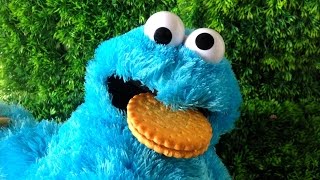 cookie monster eating cookies [upl. by Neelon]