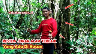 Ini dia Joran pancing terbaik yang ada di alam  hutan pemancing wajib tau [upl. by Magree]