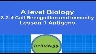 Lesson 1 Antigens Alevel Biology [upl. by Langham]