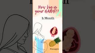 Pregnancy week by week  baby development month by month  How big is the baby now  pregnancy [upl. by Akina]