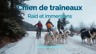 Préparation raid chien de traîneaux avec Salomé et Simon [upl. by Dorry]