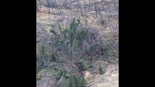 UPDATE Water Beginning to Breach Chilcotin River Landslide  Aug 5 2024 [upl. by Llewsor]