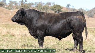 Lot102 Bonnydale Q T86 [upl. by Imoyik182]