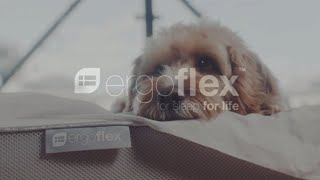 How does the Ergoflex memory foam mattress compare [upl. by Oiramaj97]