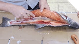 How to fillet a trout [upl. by Anayaran]