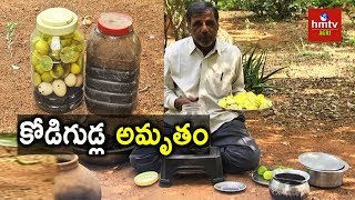 Kodigudla Amrutham Egg Amino Acid Preparation  Natural Farming  hmtv Agri [upl. by Rehportsirhc493]