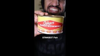 Lets Try the STINKIEST FISH in the World Surströmming [upl. by Ernest]