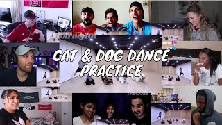 TXT Cat amp Dog Dance practice  Reaction Mashup [upl. by Einnal115]