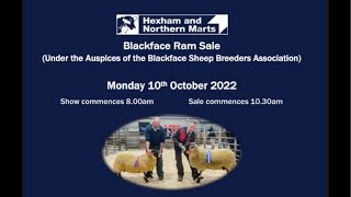 Blackface Ram Sale at Hexham Mart Monday 10th October’22 [upl. by Roby]