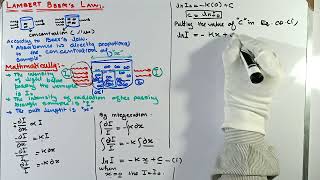 Statement and derivation of Beers law  Lambert Beers Law  spectroscopy [upl. by Perrins313]