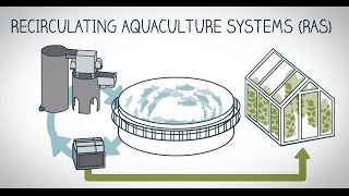 What is landbased fish farming [upl. by Laynad195]