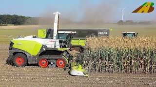 Mais häckseln 2020  Neuvorstellung Claas Jaguar 990 Terra Trac amp Orbis 900  Axion 960 TT Maisernte [upl. by Durwood]