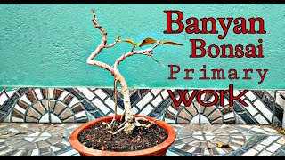 How to start Banyan Bonsai Ficus Benghalensis [upl. by Irak]