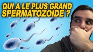 QUI A LE PLUS GRAND SPERMATOZOÏDE [upl. by Jarek]