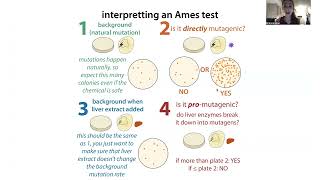 What are Mutations and what are the different types of Mutations [upl. by Magdalena]