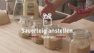 Sauerteig anstellen  Tutorial  KrusteampKrume [upl. by Stefano]