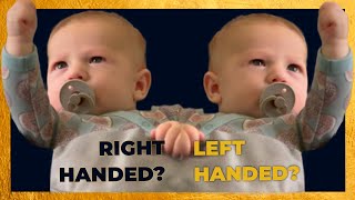 How soon can you tell if your child is right or left handed  Science Baby [upl. by Navac788]