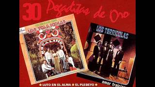 Los Terrícolas 30 Pegaditas de Oro Vol 1 1992 Disco Completo [upl. by Oilisab467]