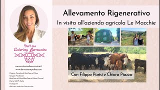 Allevamento Rigenerativo GRASS FED azienda agricola Le Macchie [upl. by Filippo]