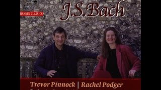 Bach Sonata 1 for violin and harpsichord in b Bwv 1014 [upl. by Eladnek]